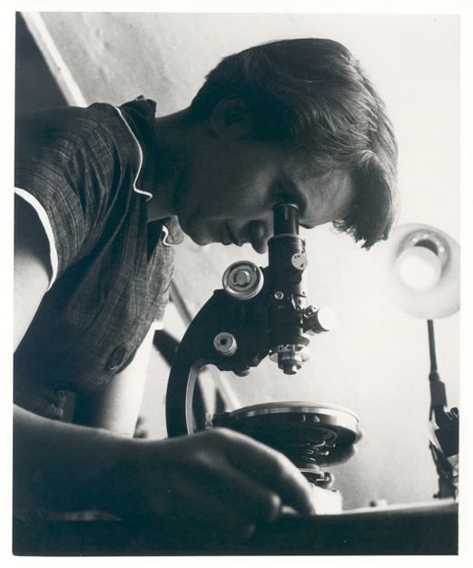 Rosalind Franklin, científica que contribuyó al descubrimiento de la estructura del ADN